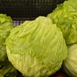 Iceberg