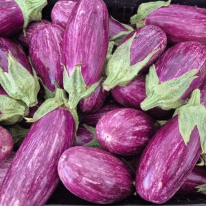 Melanzane striate