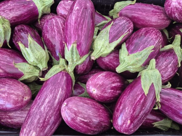 Melanzane striate